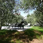 Niceta Zadar