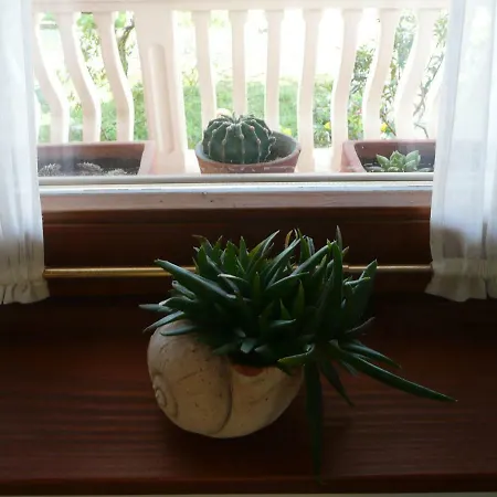 Niceta וילה זאדאר